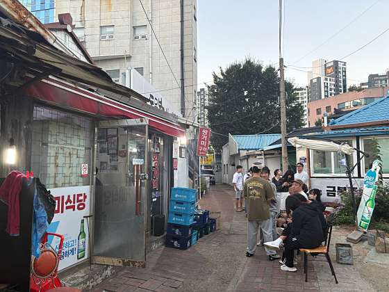 왕거미 이미지
