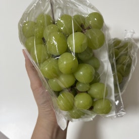 초아유통 이미지
