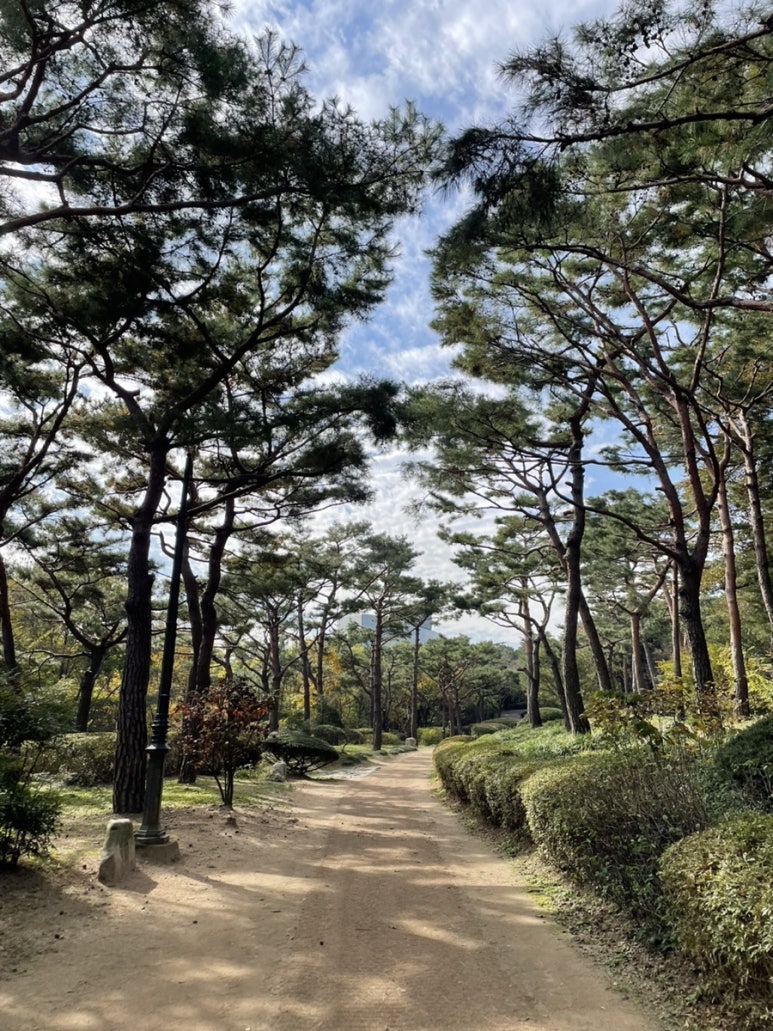 마로니에화원 이미지