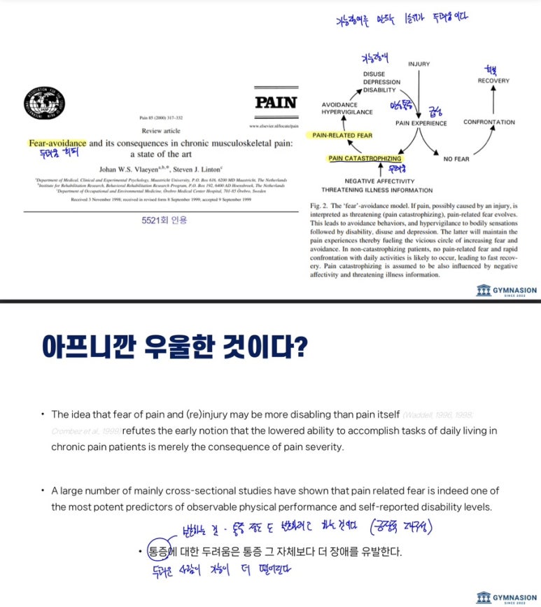 김나시온 이미지