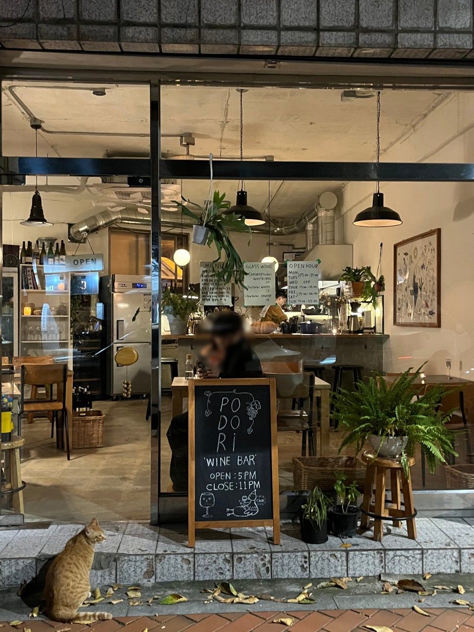 포도리성수 이미지