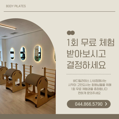 리셋세종 이미지