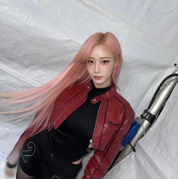 핑크 이미지