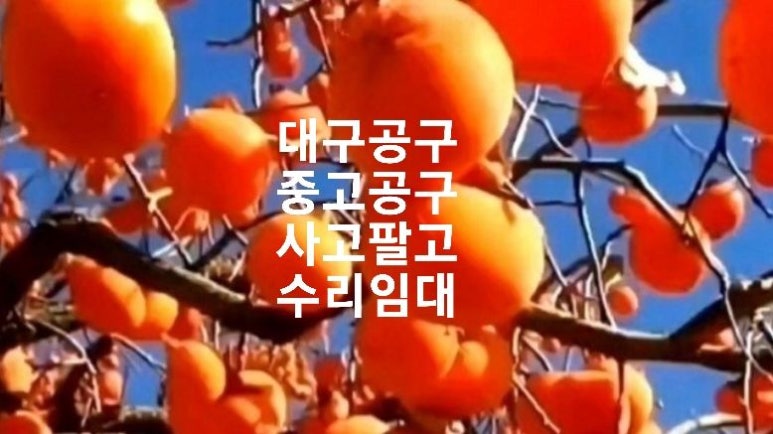 건행유통 이미지