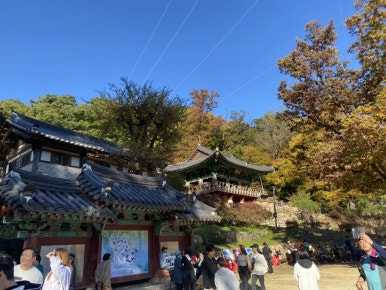 (주)파랑나무 이미지