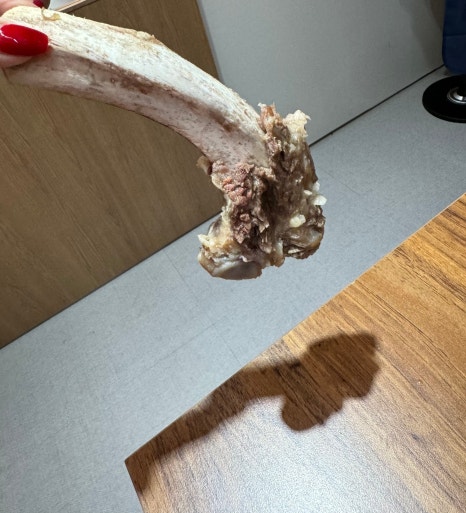 두꺼비 한우정육식당 이미지