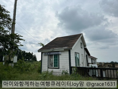 제주토이승마장 이미지