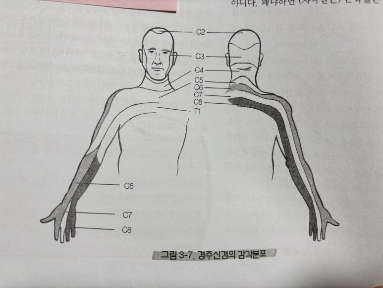 누리담한의원 이미지