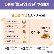 벌크짐 이미지