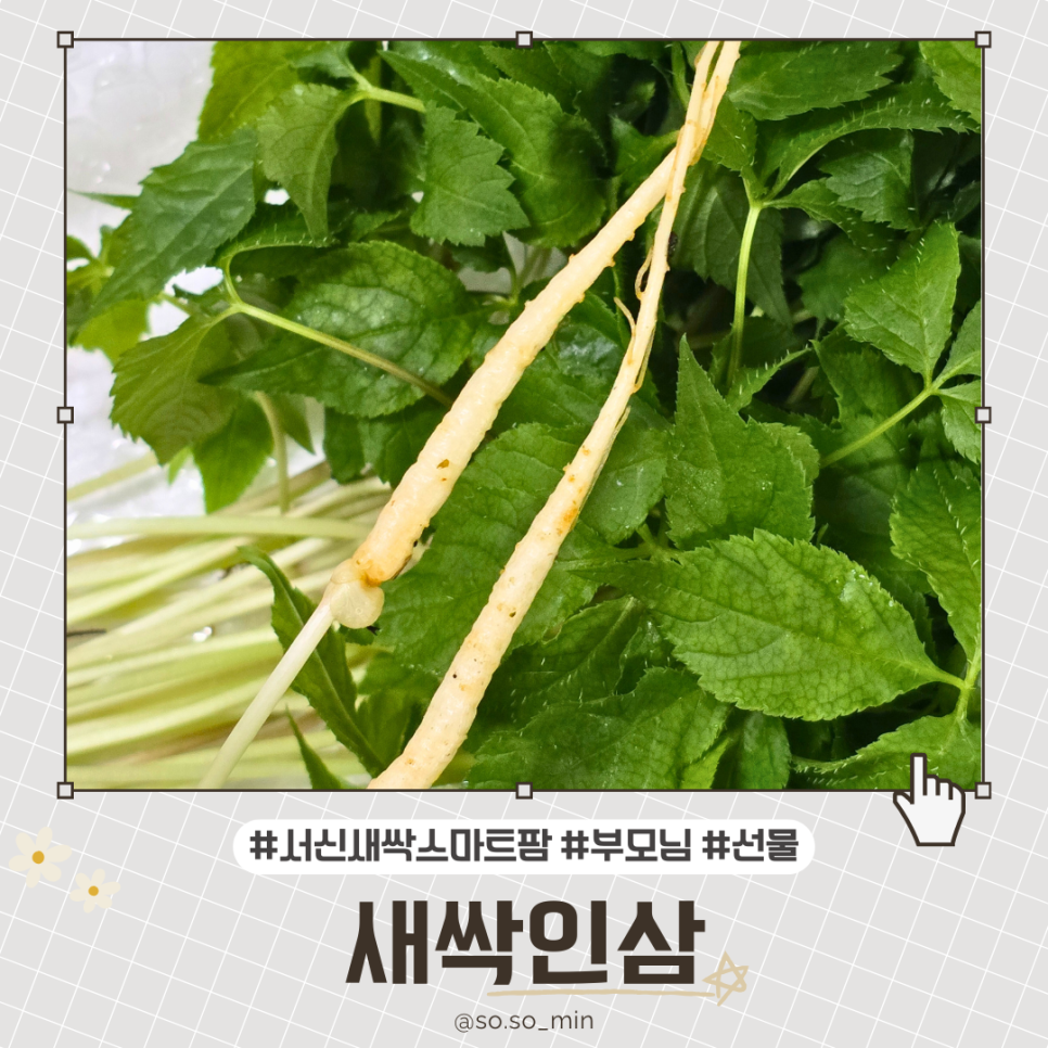 서신식품 이미지