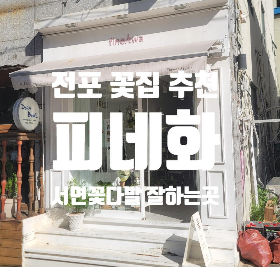 피네화 이미지