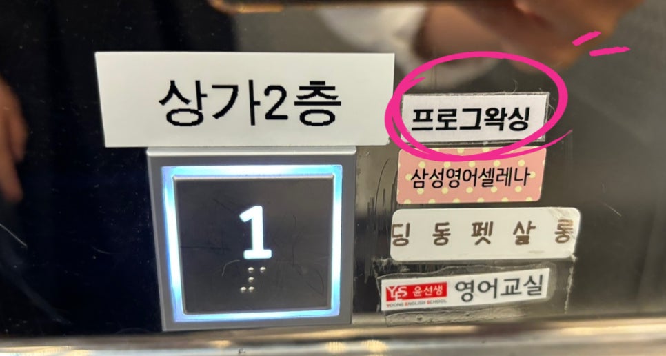 프로그왁싱 이미지