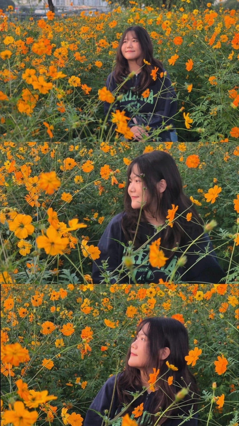 다영황 이미지