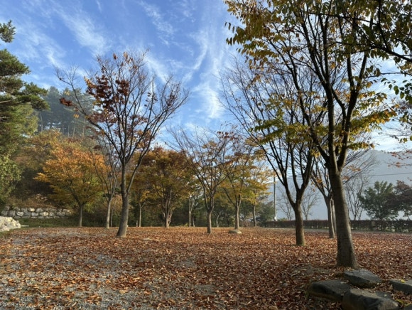 씨앗골캠핑장 이미지
