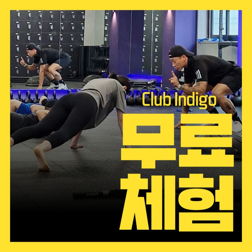 클럽인디고 이미지