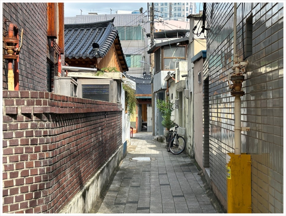 명덕악기 이미지