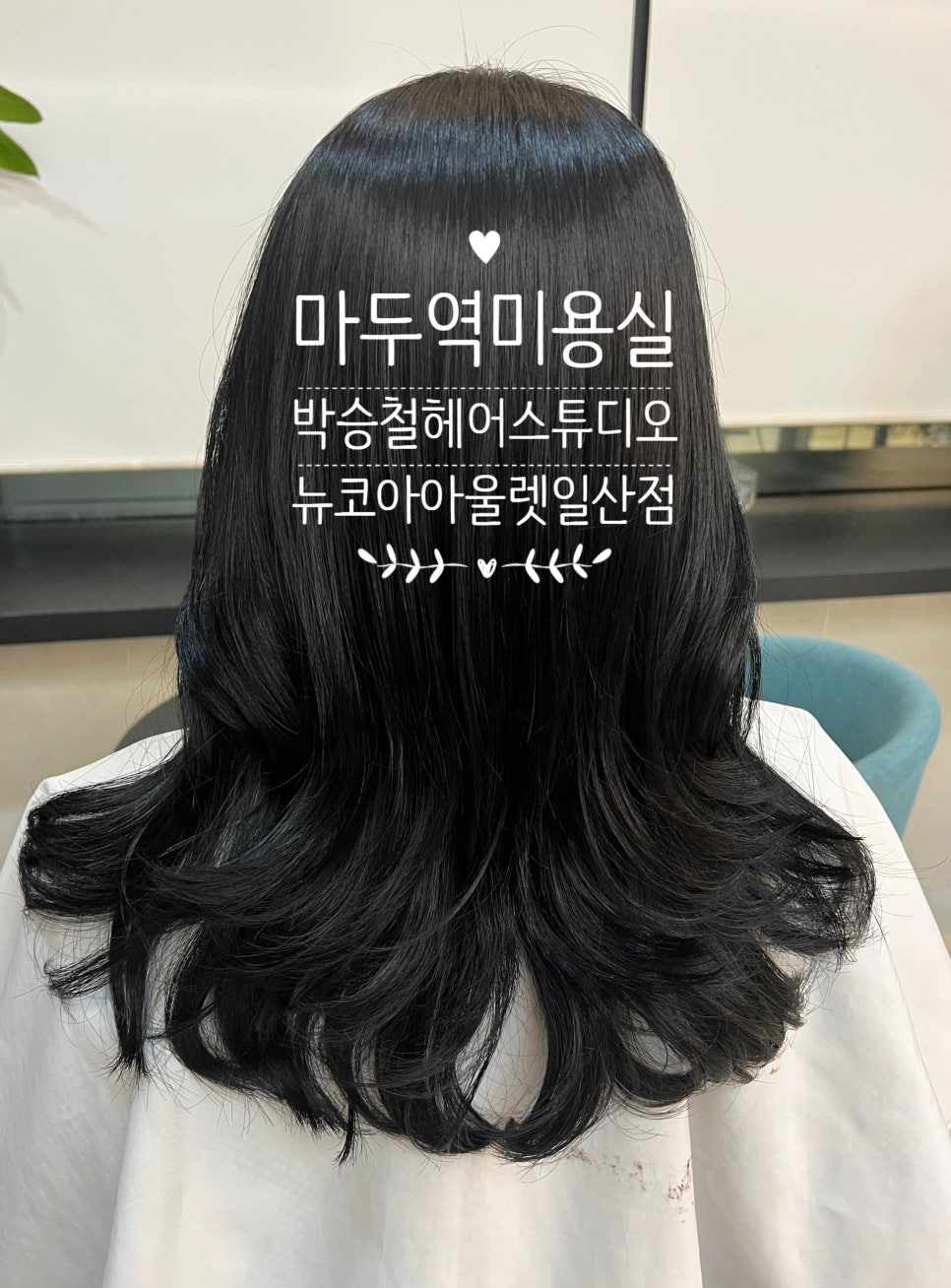 뉴코아 아울렛 일산점 이미지