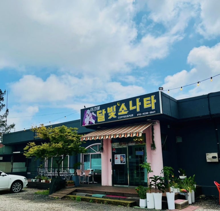 이경애달빛소나타 이미지