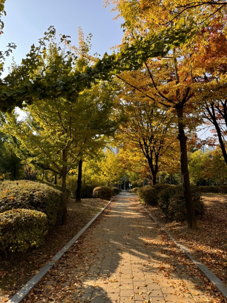 산토리니의아침인천 이미지