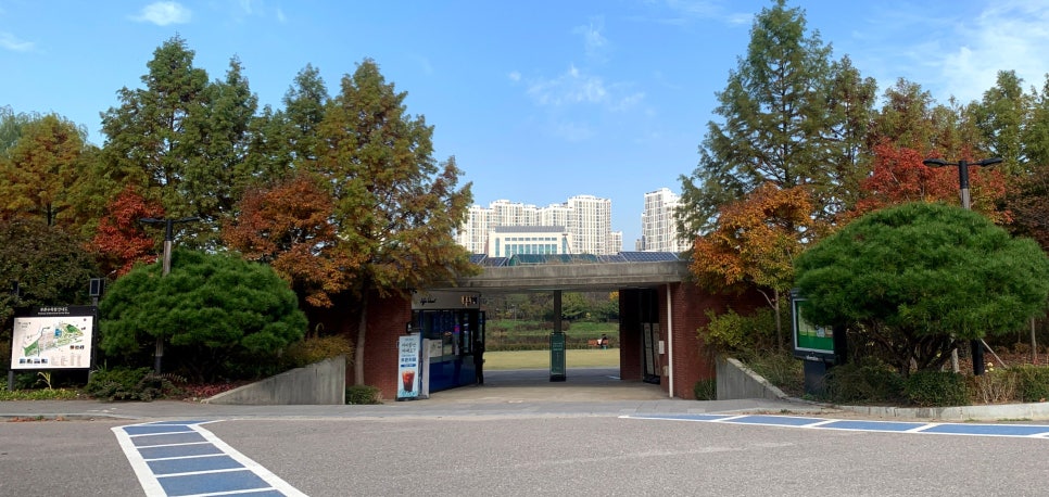 푸른드리 이미지