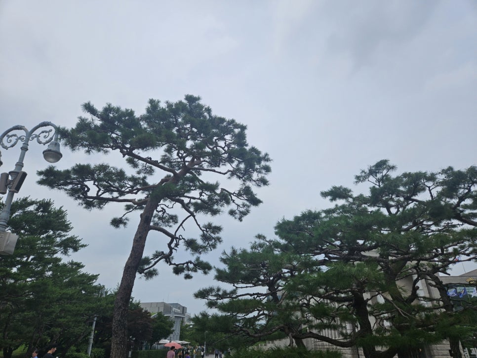 법률사무소이레 이미지