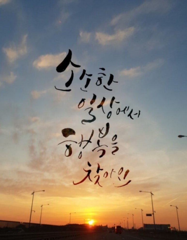 신비코 이미지