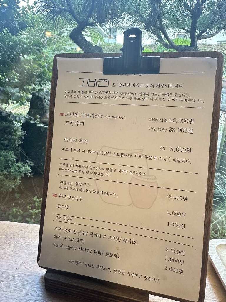 고바진 이미지