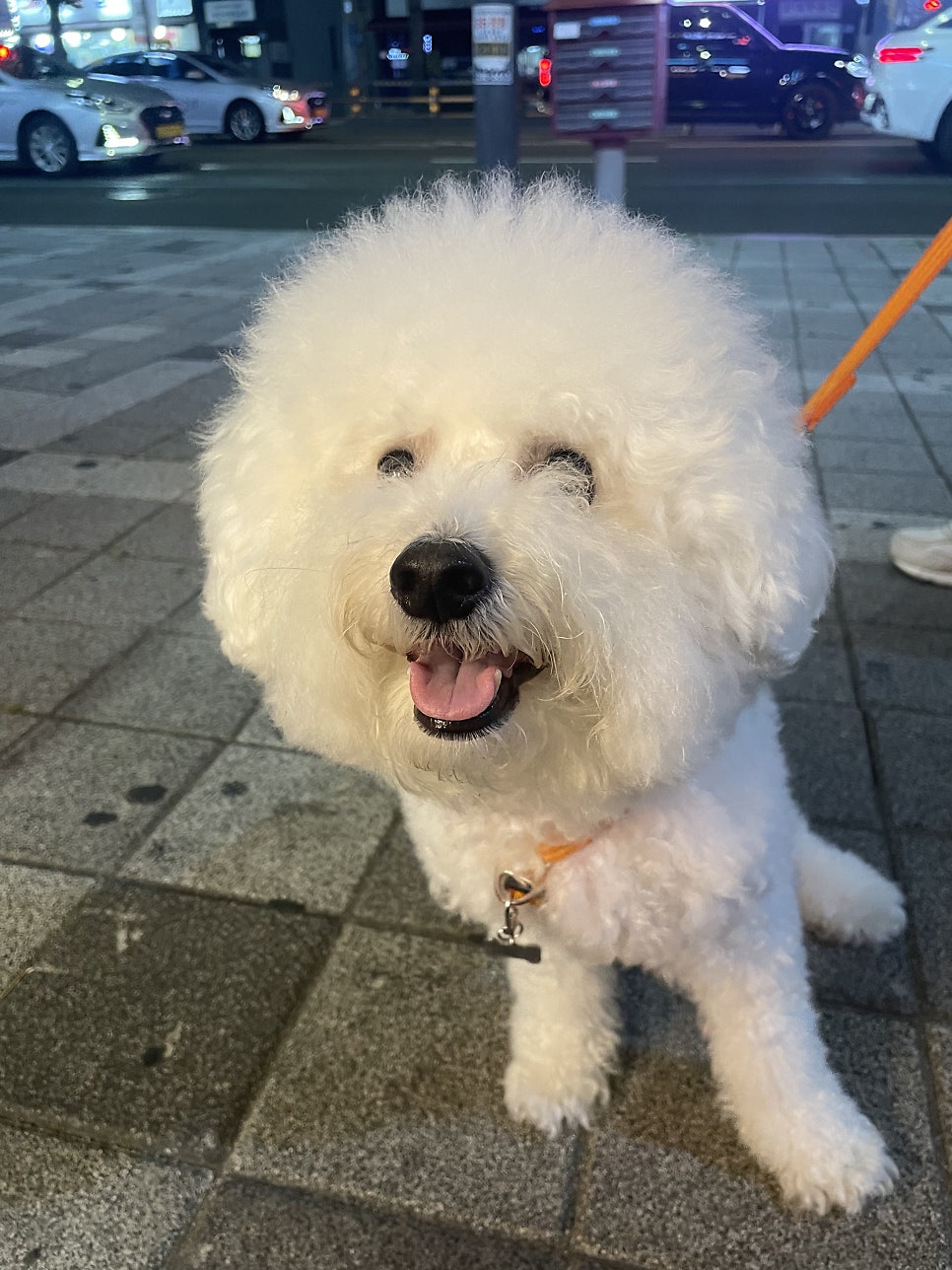 해를품은호떡 이미지