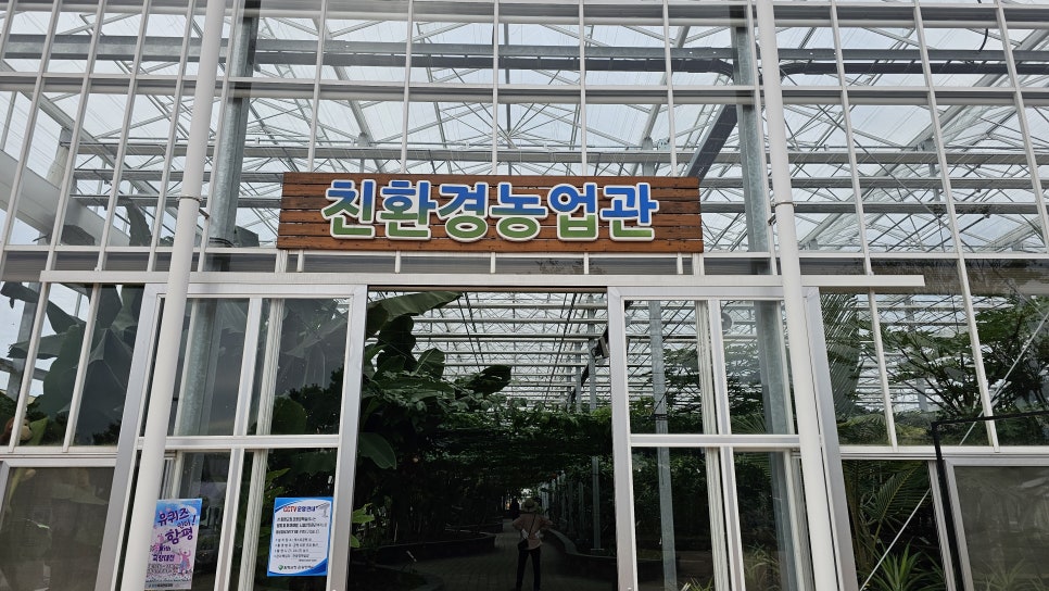더피자.먹거리장터 이미지