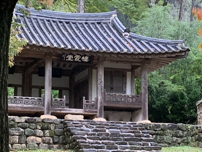 왕버들육전호두당 이미지