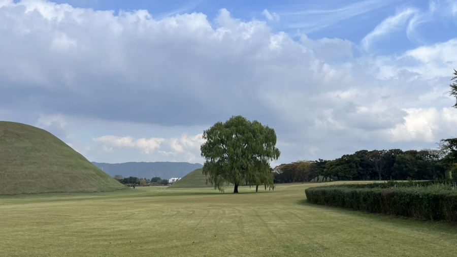 샤론의상실 이미지