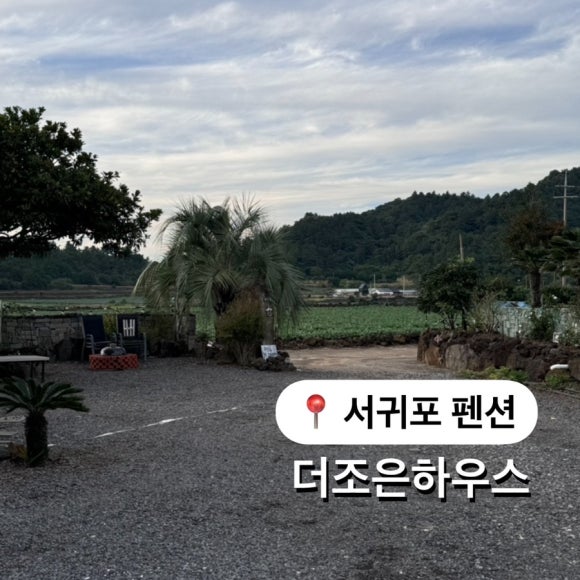 사계더조은 사진 5