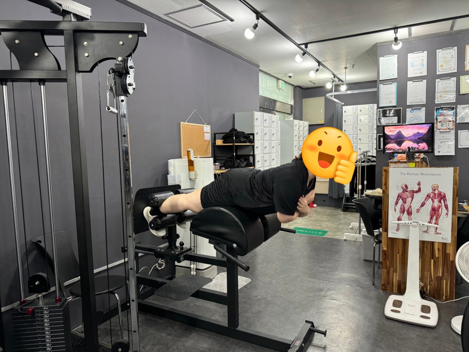 라라카워시 이미지