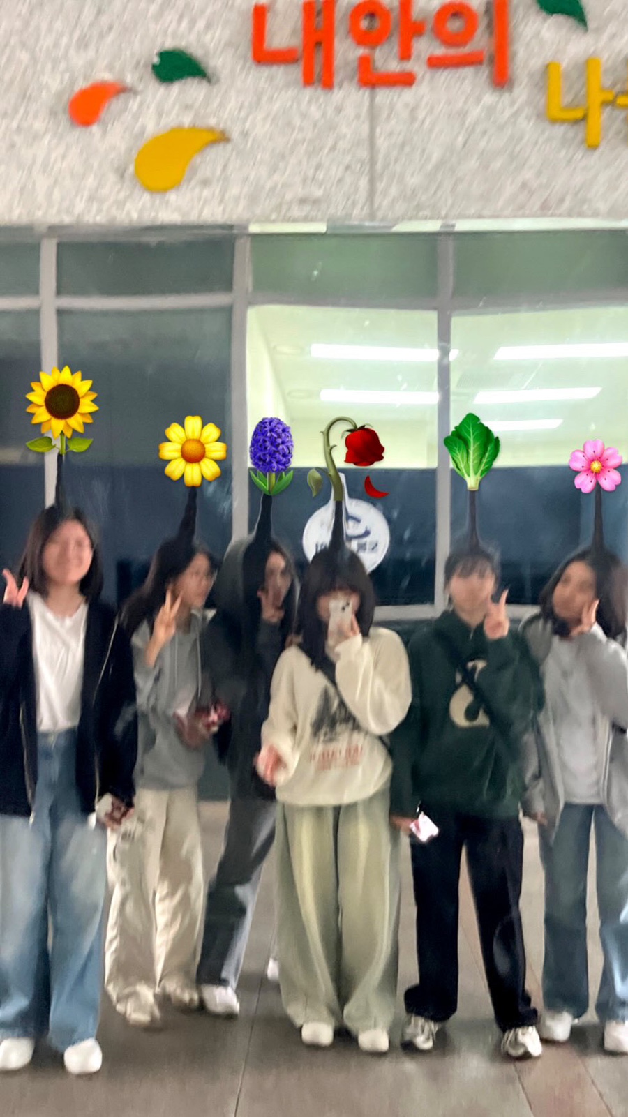 도디 이미지