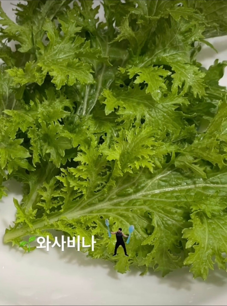 와사비 이미지