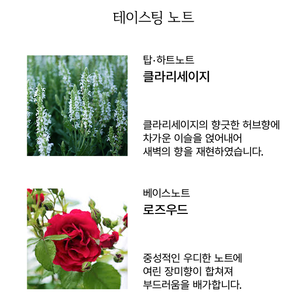 아로브 이미지