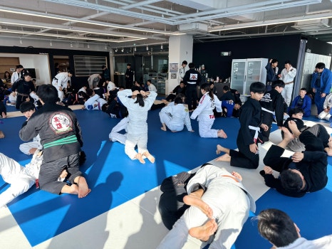 팀루츠 이미지