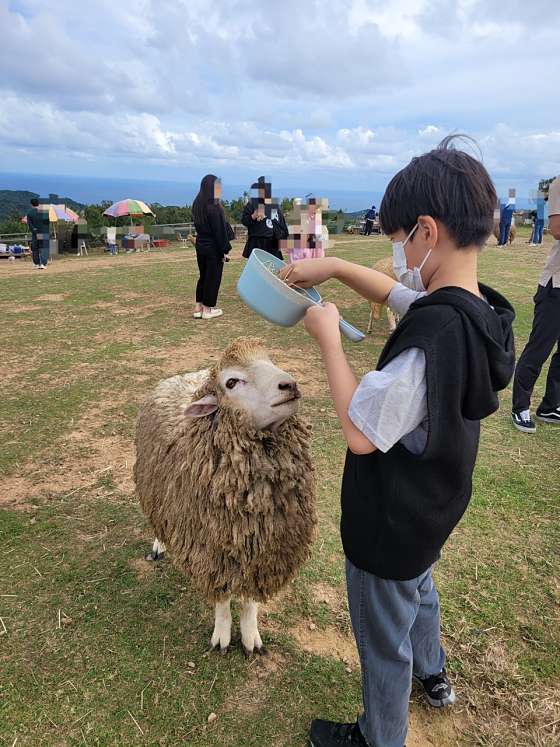 법인울산양떼목장 이미지