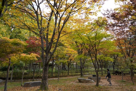 변화의월담 이미지