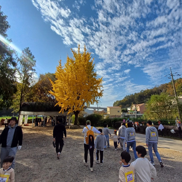 달구지농원 이미지
