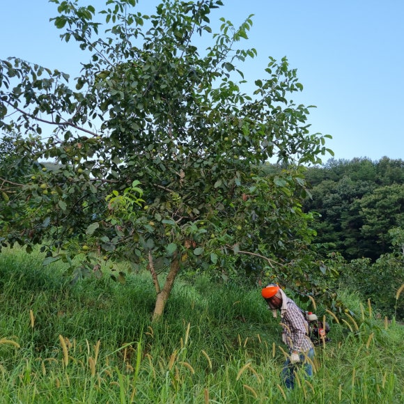 선유당 이미지