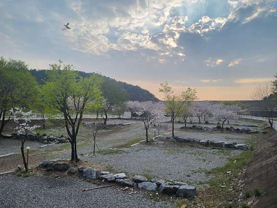 열린캠핑장 이미지
