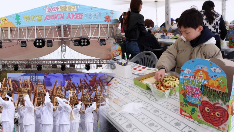 양구펀치볼사과 이미지