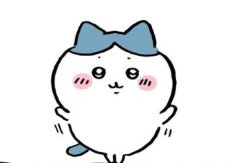 지노투어 이미지