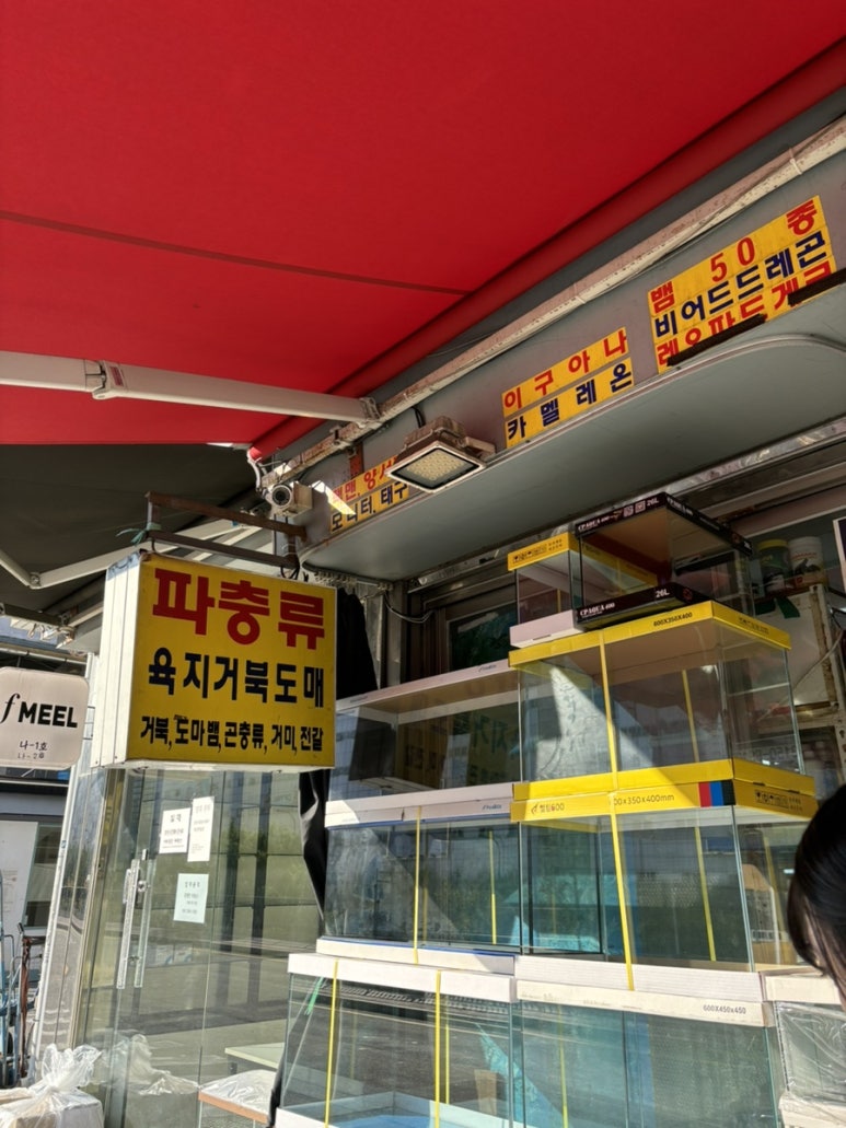 삼오여관 이미지