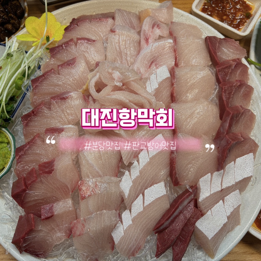 대진항막회 이미지