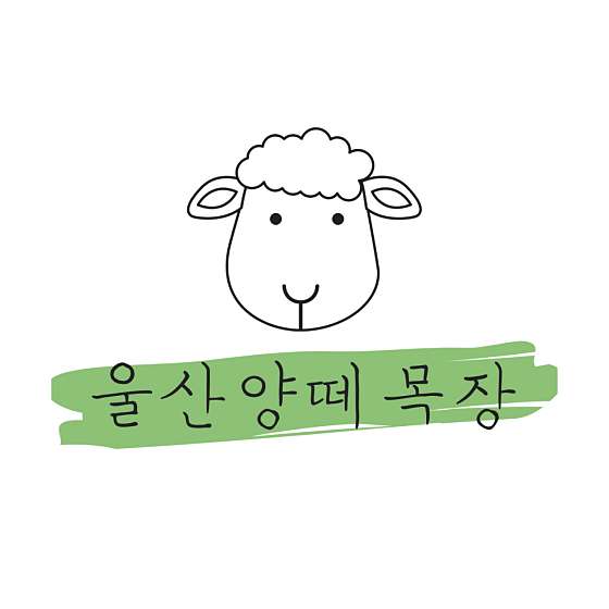 법인울산양떼목장 이미지