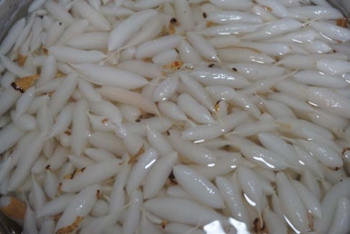 보명 이미지
