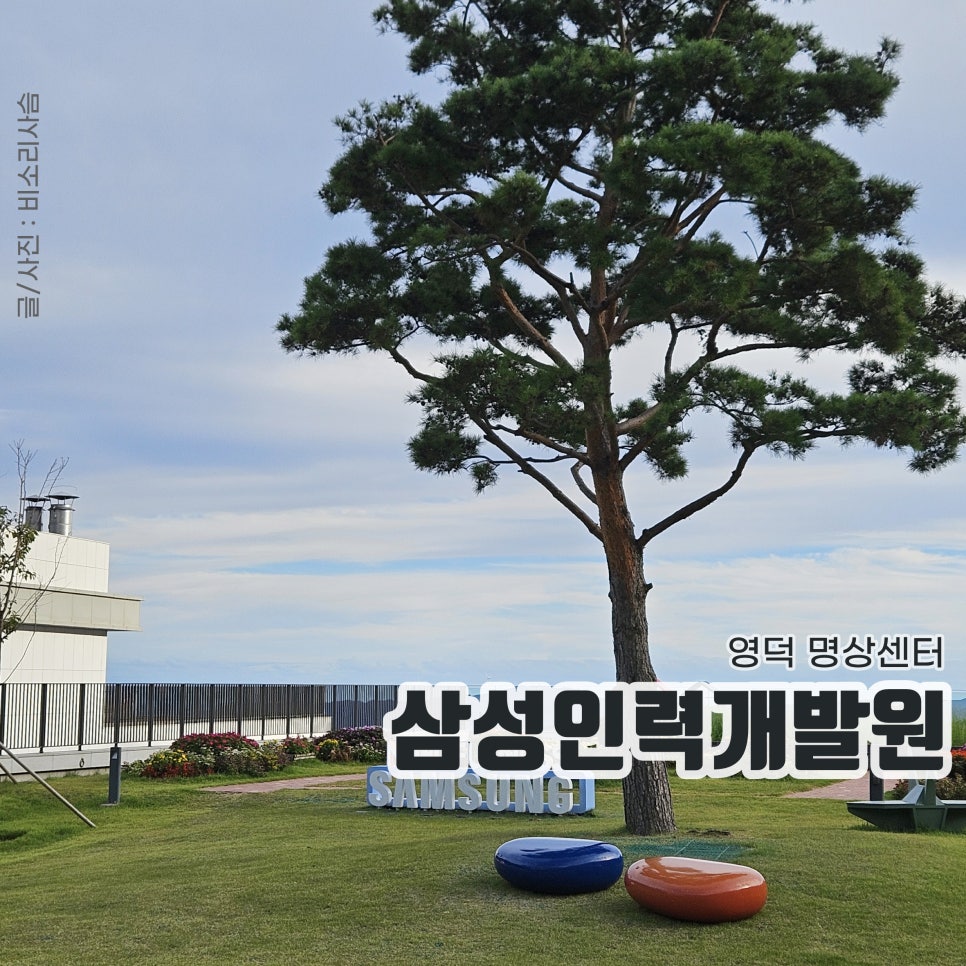평화인력센터 이미지