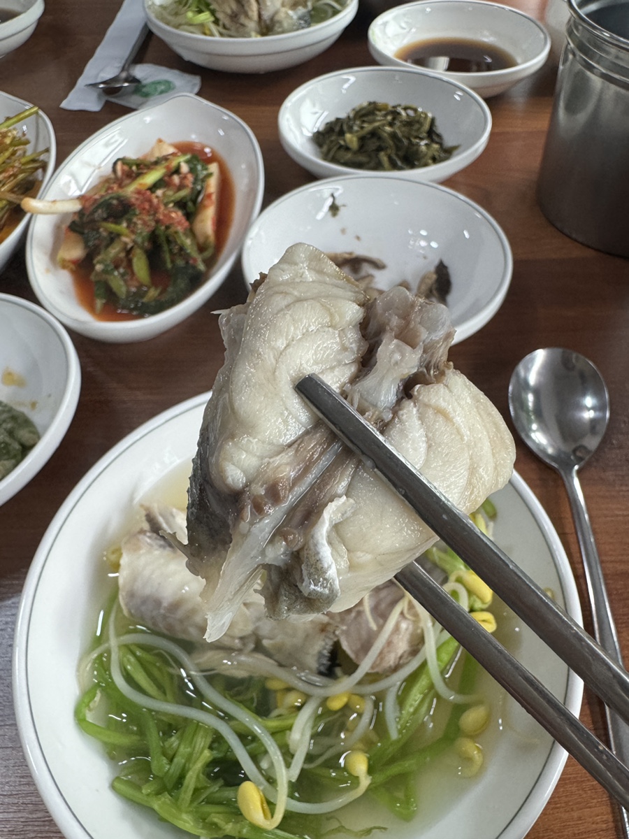 일산복어 이미지